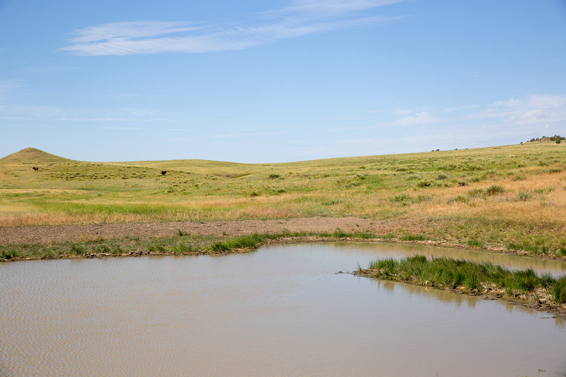 South Comanche Ranch property picture 163 of 220