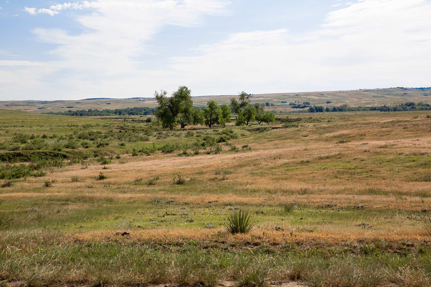 South Comanche Ranch property picture 156 of 220
