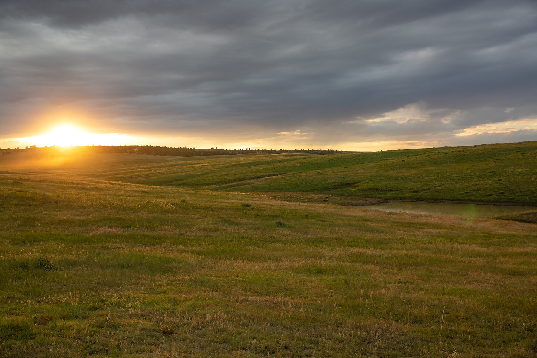 South Comanche Ranch property picture 123 of 220