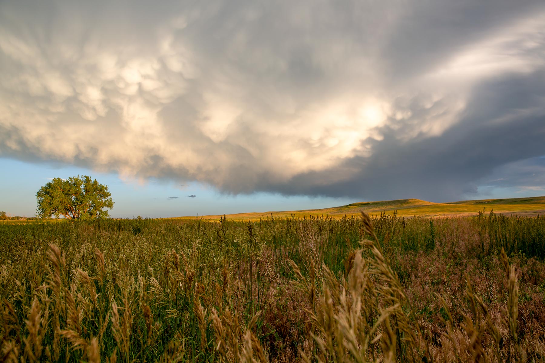 South Comanche Ranch property picture 108 of 220