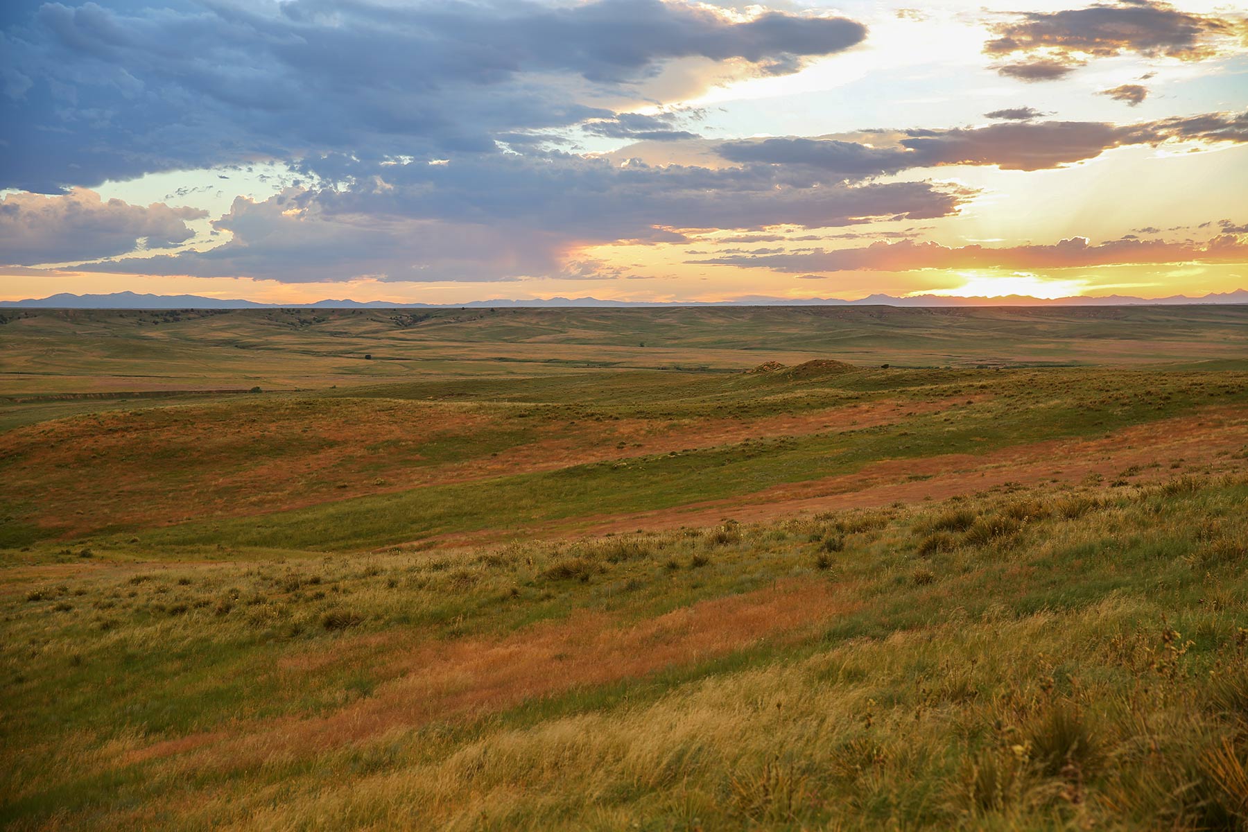 South Comanche Ranch property picture 198 of 220