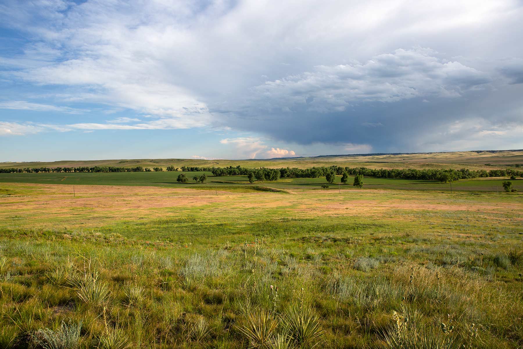 South Comanche Ranch property picture 77 of 220