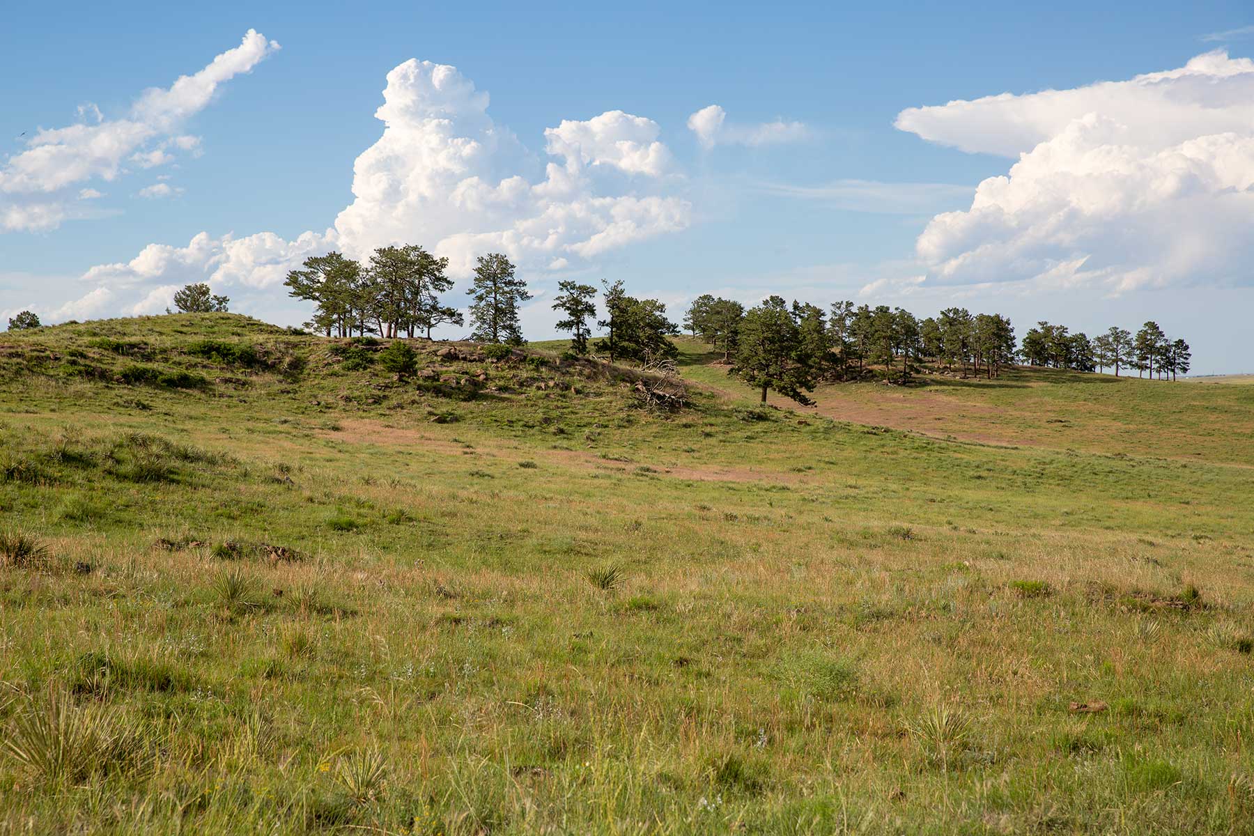 South Comanche Ranch property picture 35 of 220