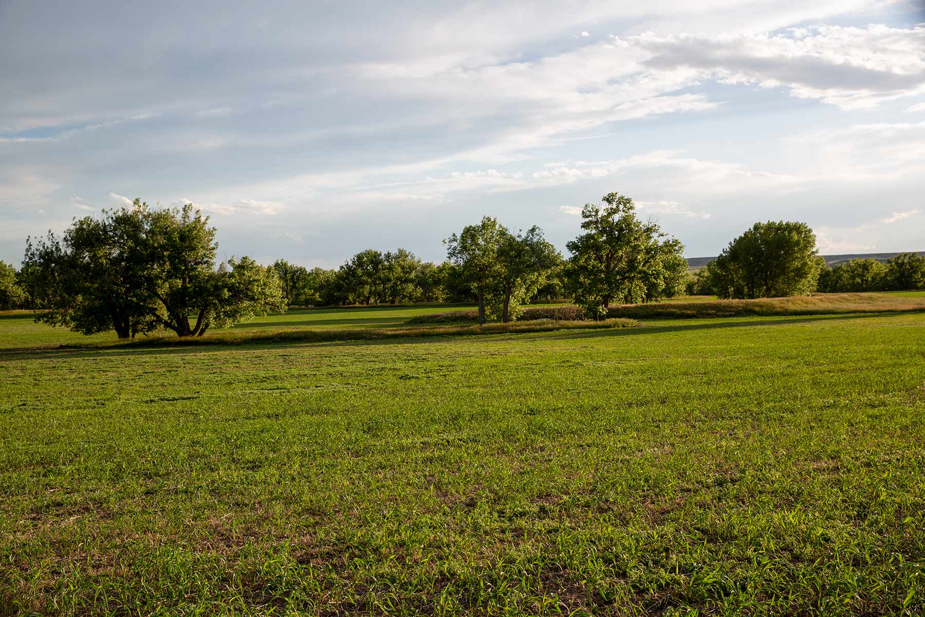 South Comanche Ranch property picture 93 of 220