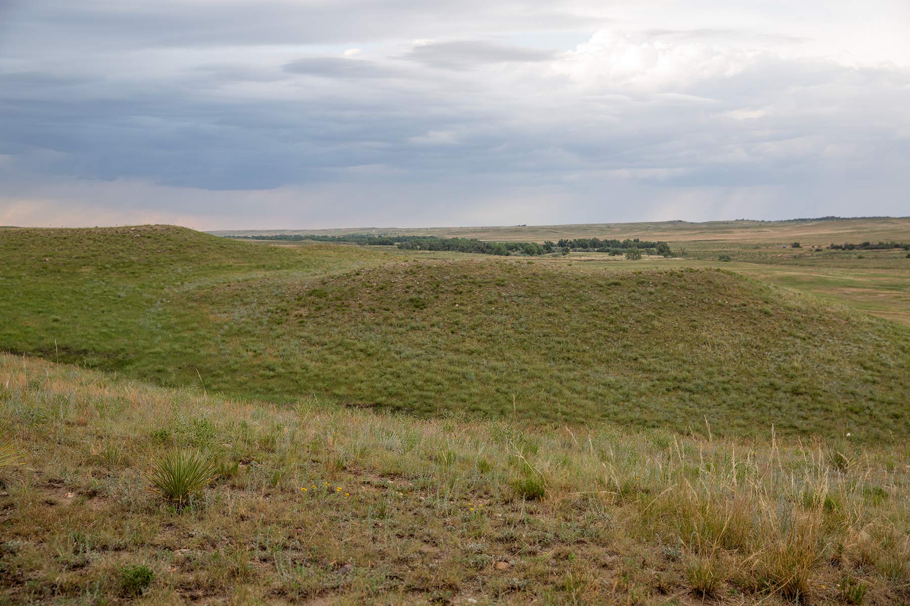 South Comanche Ranch property picture 215 of 220
