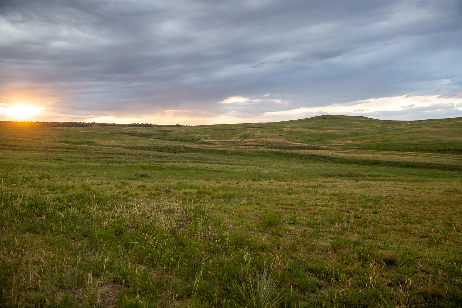 South Comanche Ranch property picture 129 of 220