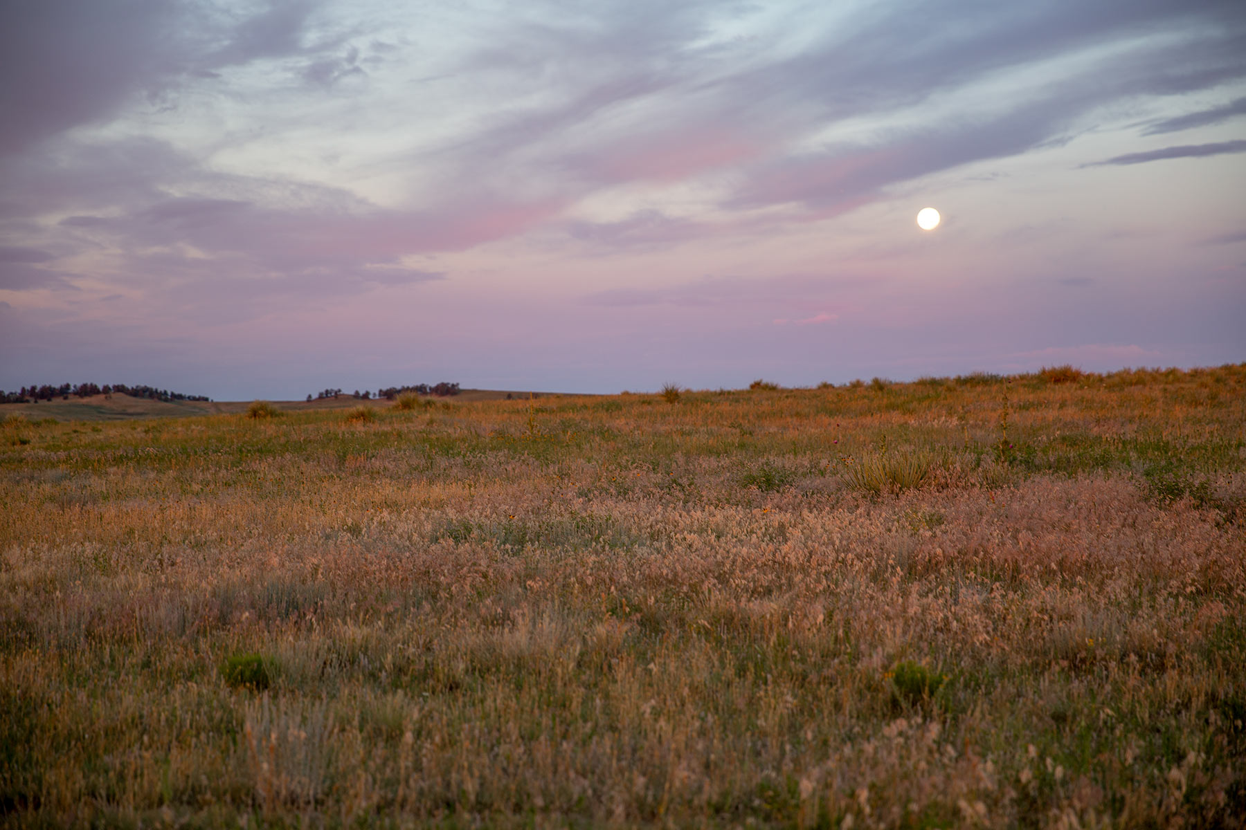 South Comanche Ranch property picture 134 of 220