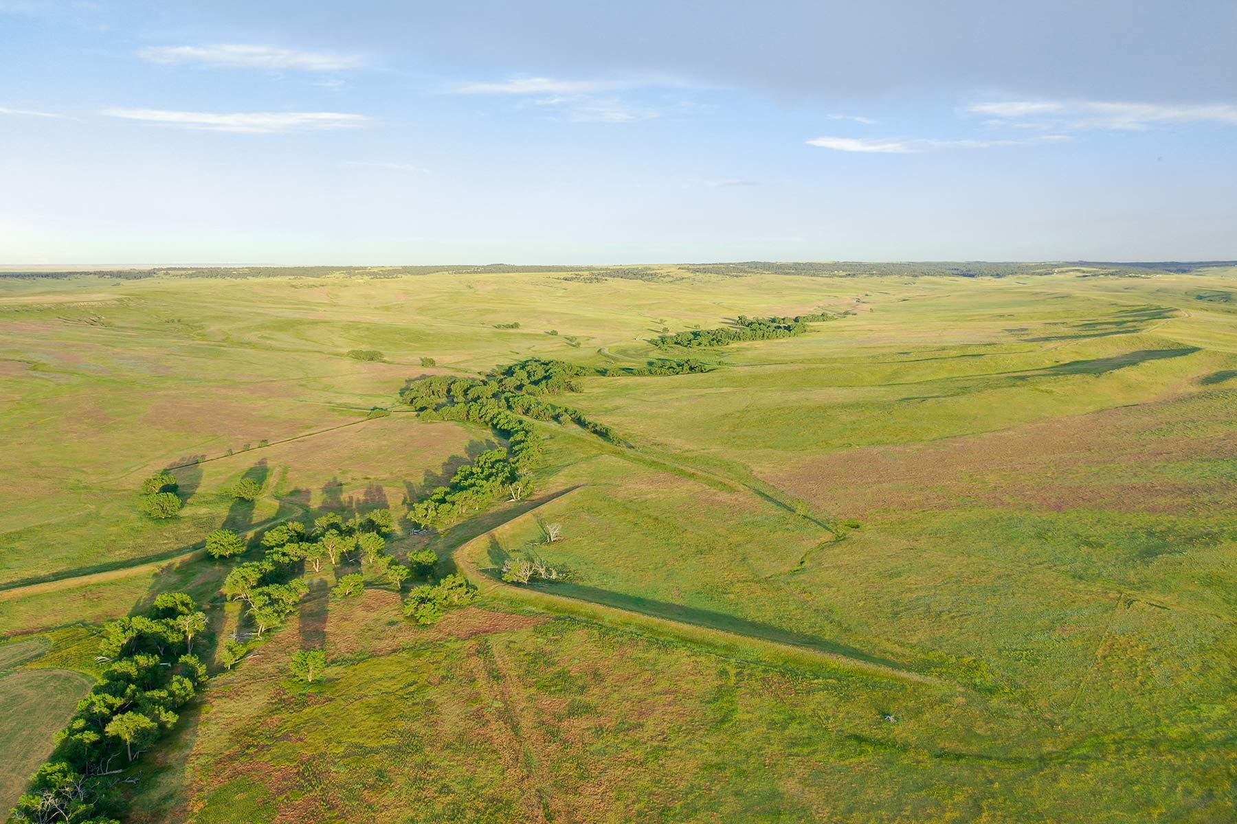 South Comanche Ranch property picture 7 of 220
