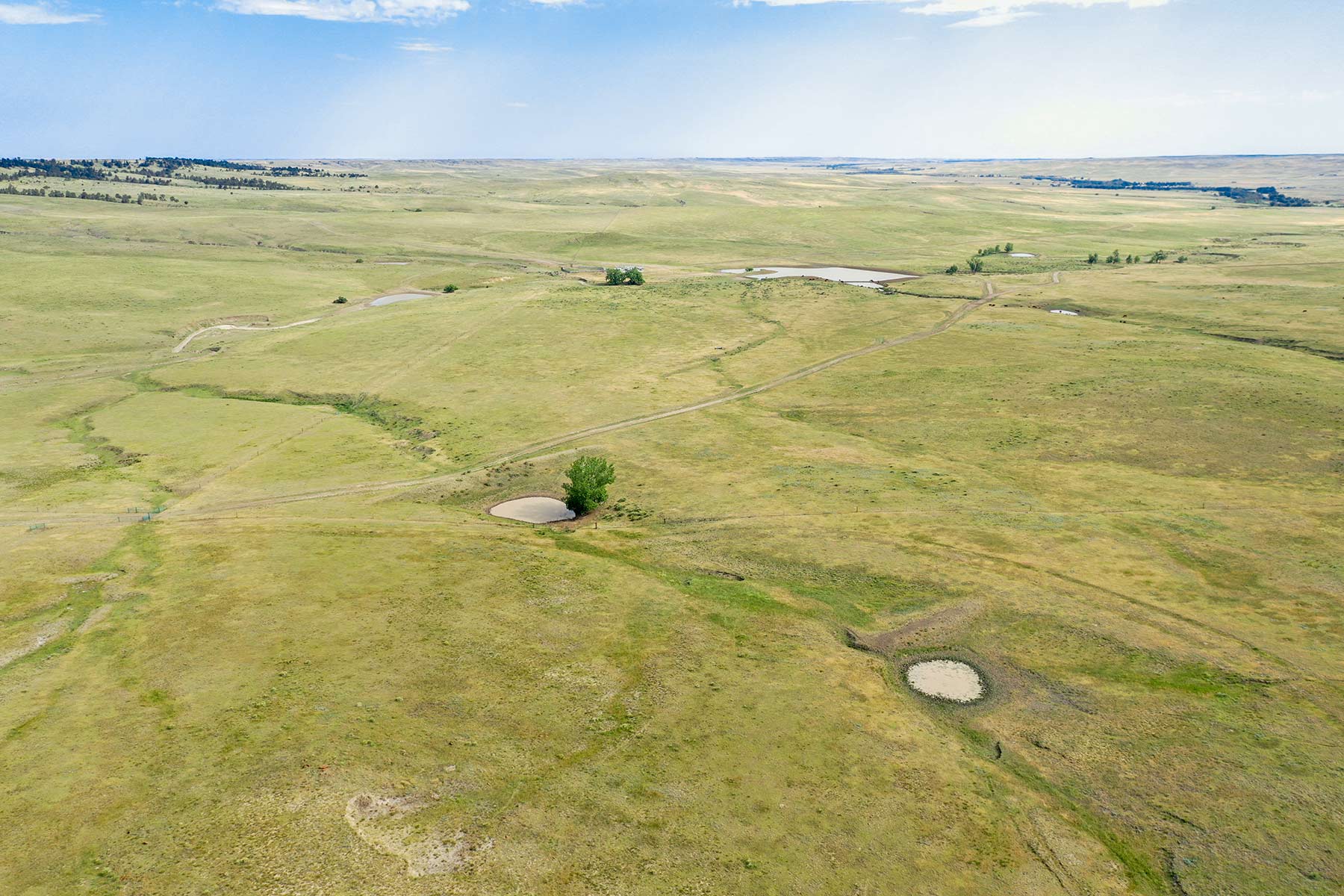 South Comanche Ranch property picture 206 of 220