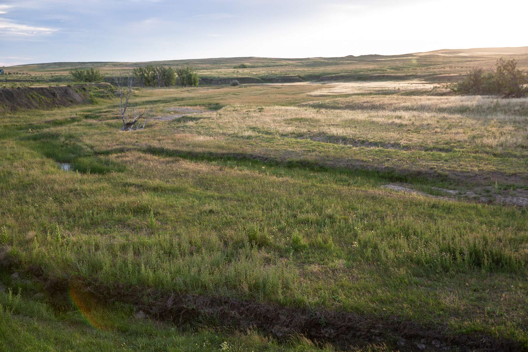 South Comanche Ranch property picture 142 of 220