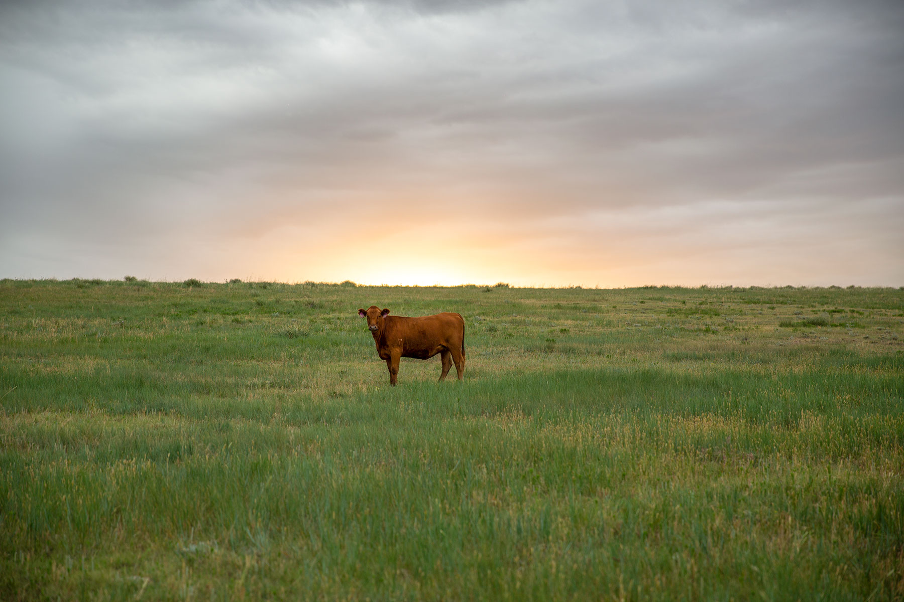 South Comanche Ranch property picture 127 of 220