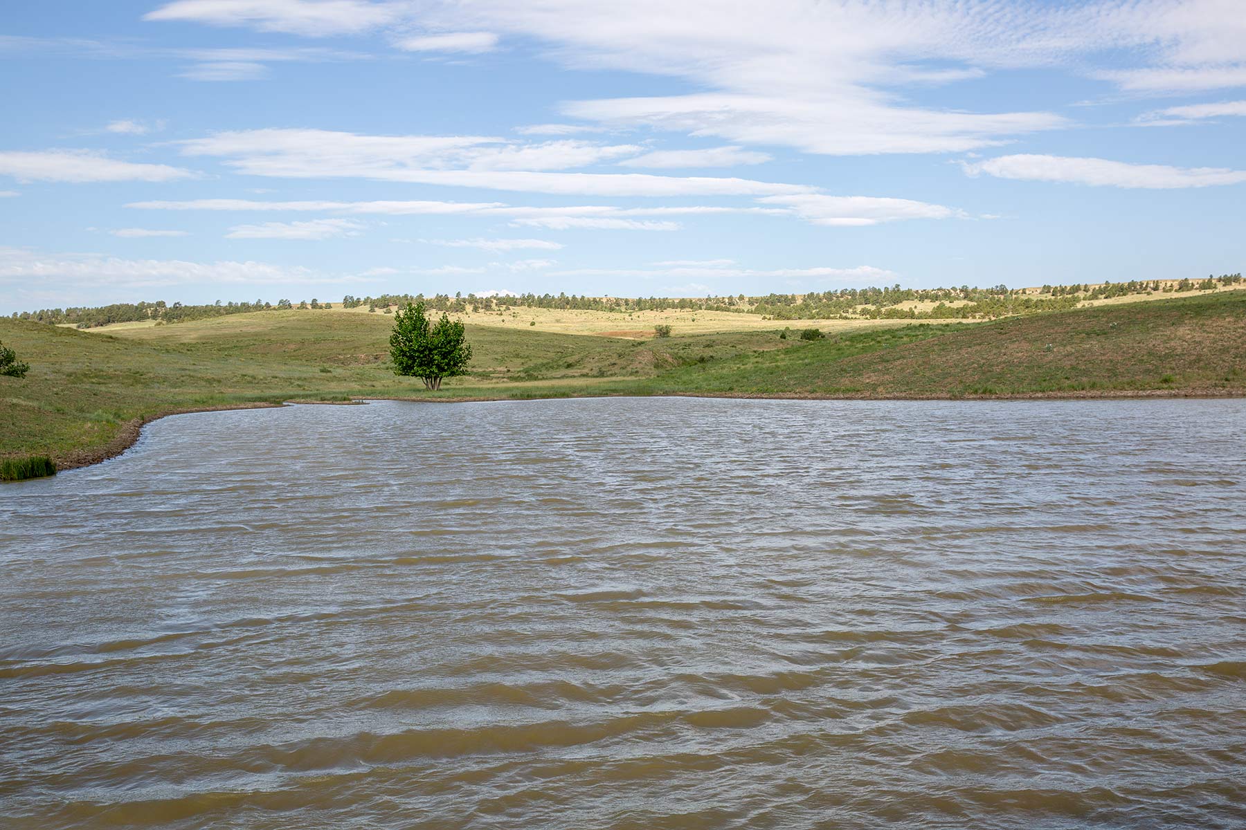 South Comanche Ranch property picture 158 of 220