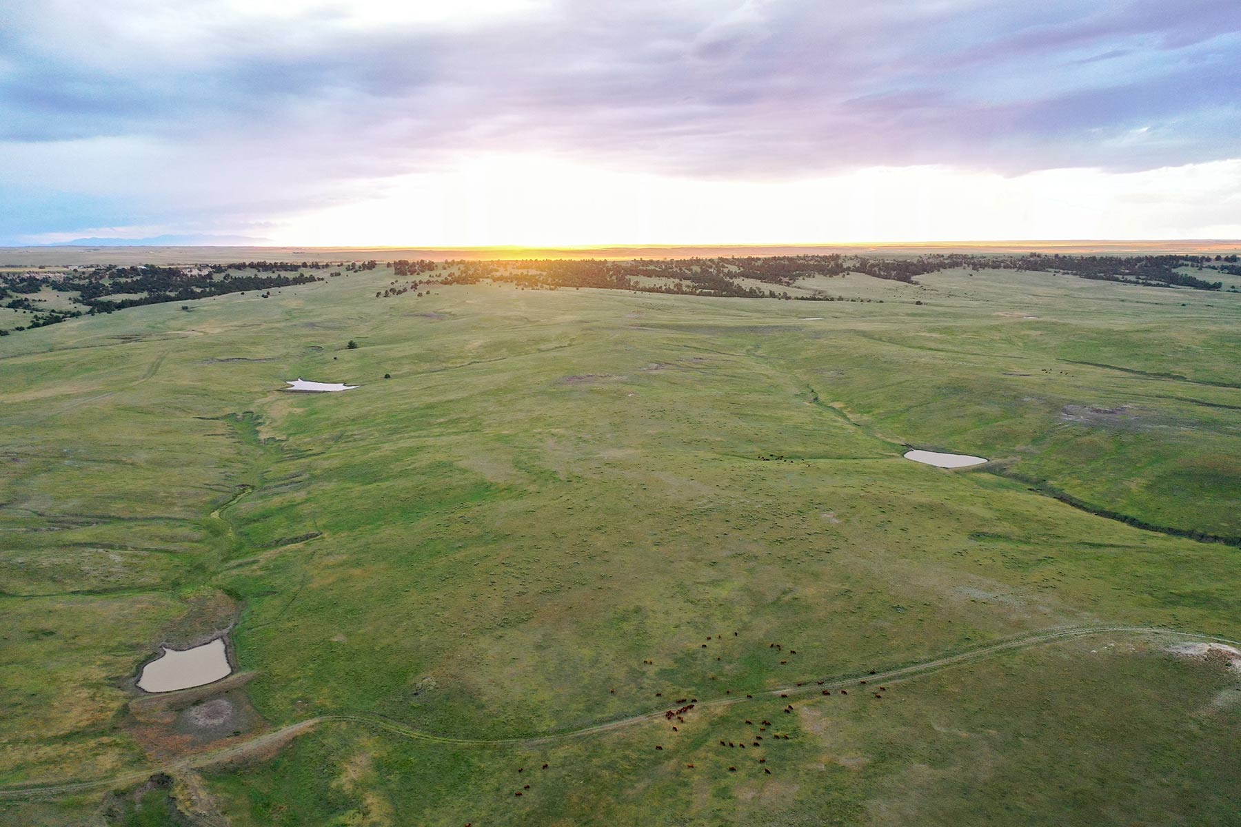 South Comanche Ranch property picture 200 of 220