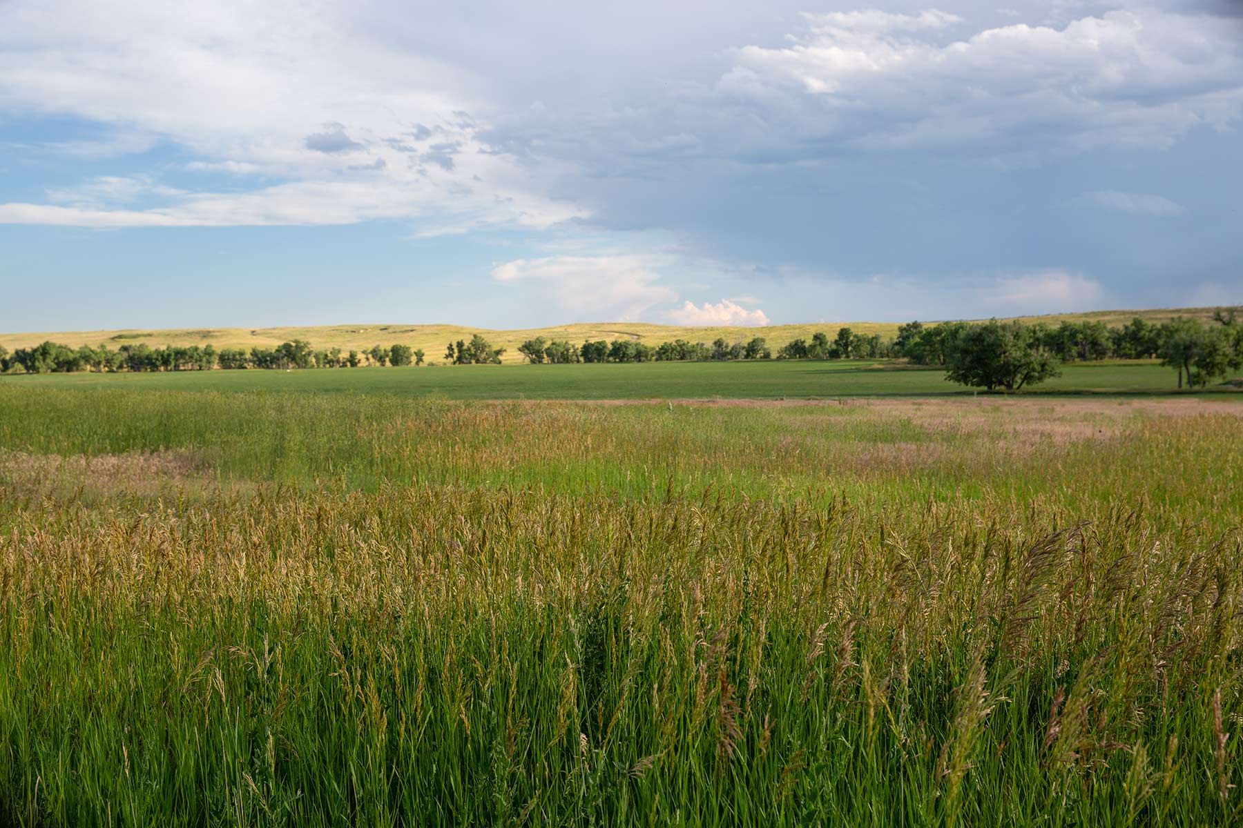 South Comanche Ranch property picture 74 of 220