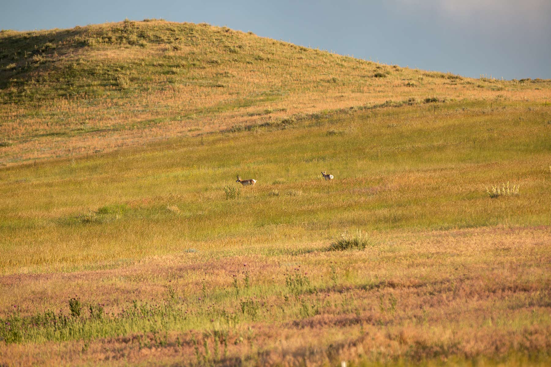 South Comanche Ranch property picture 98 of 220