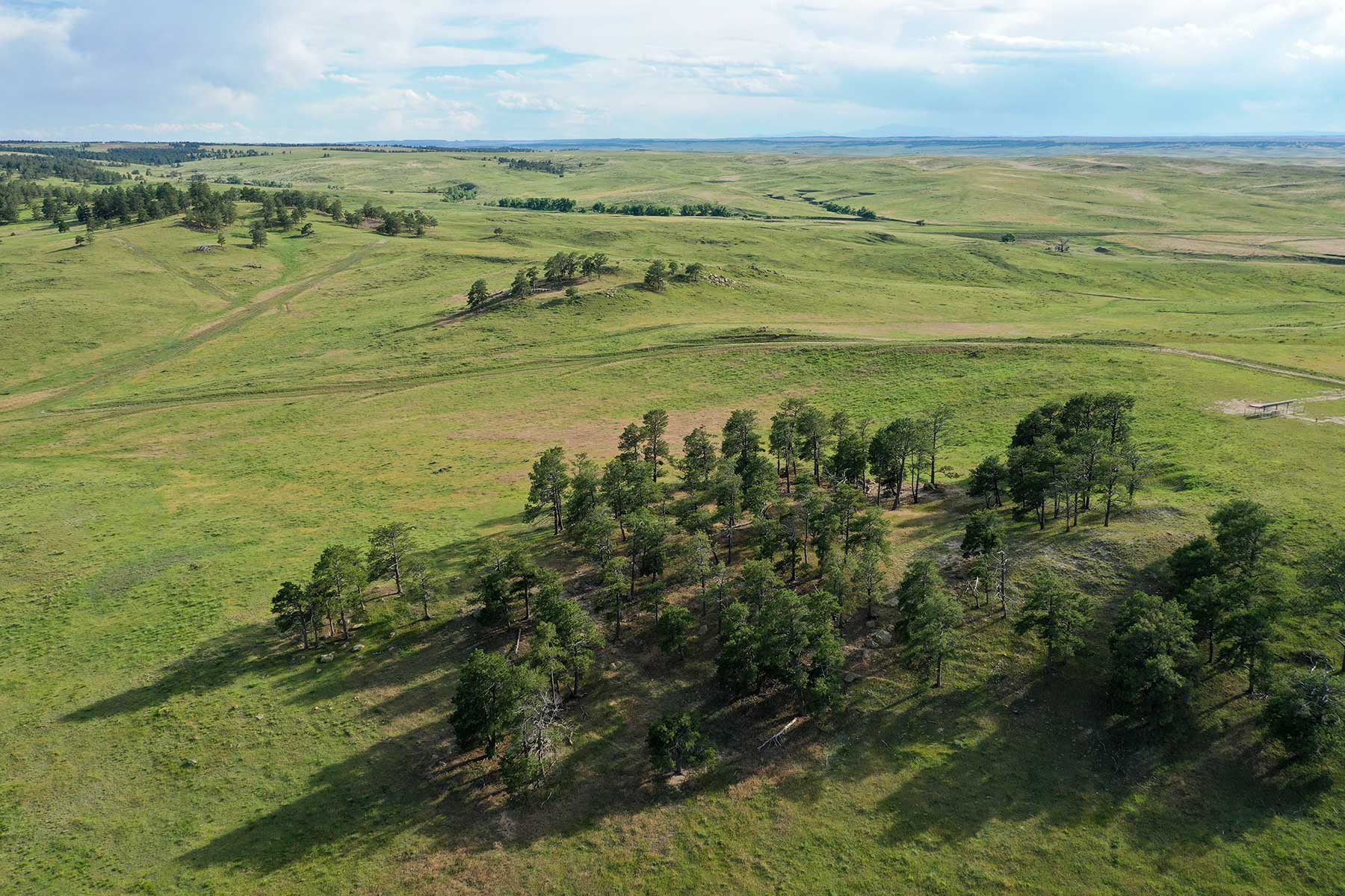 South Comanche Ranch property picture 9 of 220