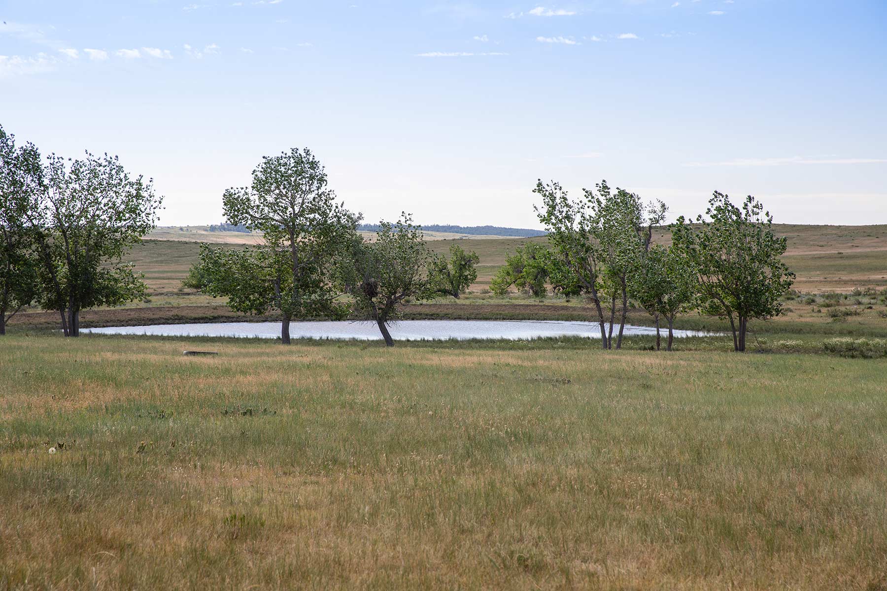 South Comanche Ranch property picture 157 of 220