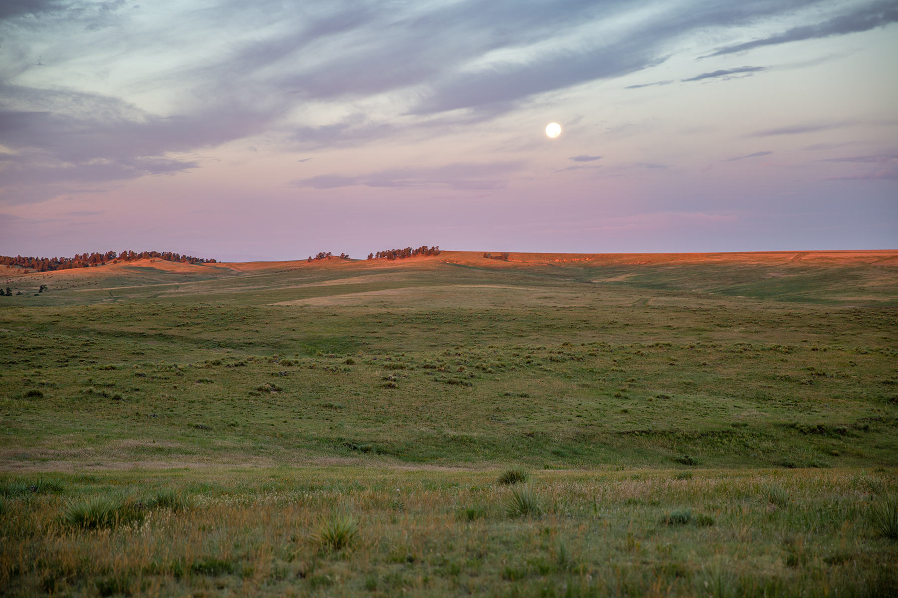 South Comanche Ranch property picture 136 of 220