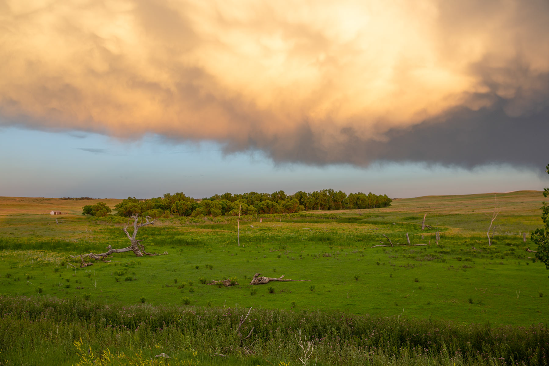 South Comanche Ranch property picture 112 of 220