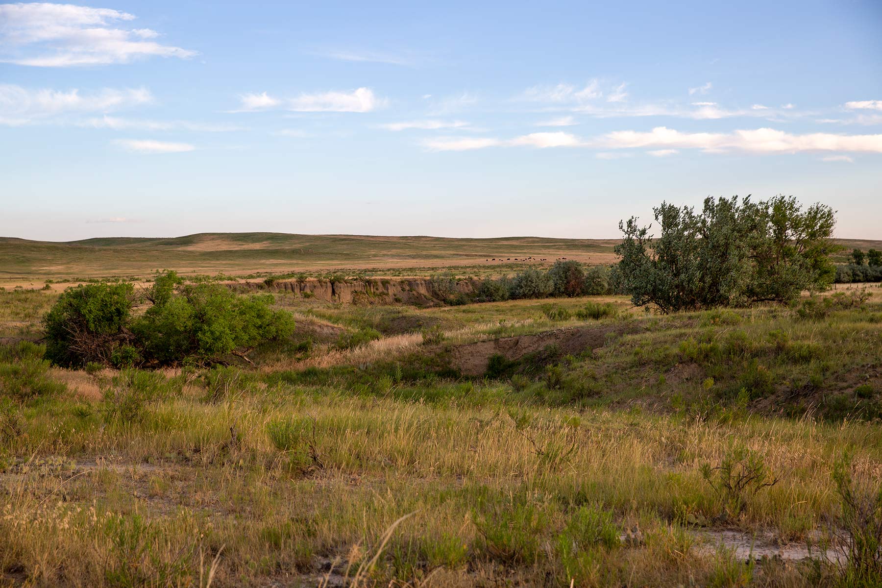 South Comanche Ranch property picture 145 of 220