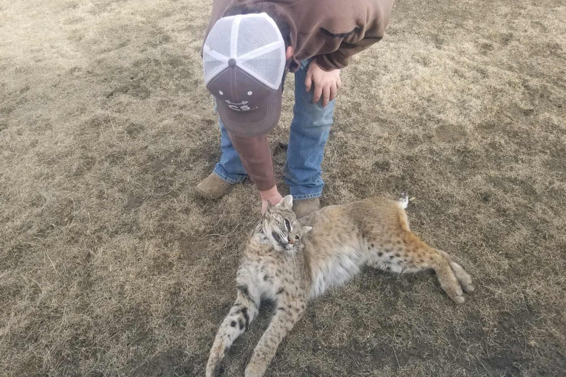 South Comanche Ranch property picture 132 of 220