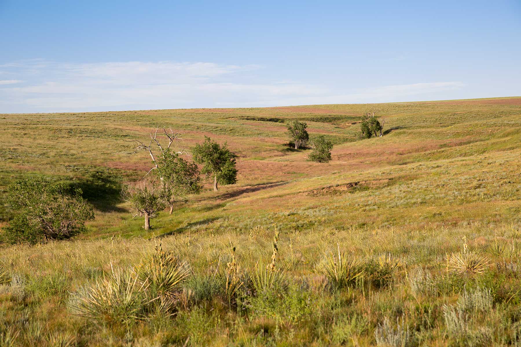 South Comanche Ranch property picture 78 of 220
