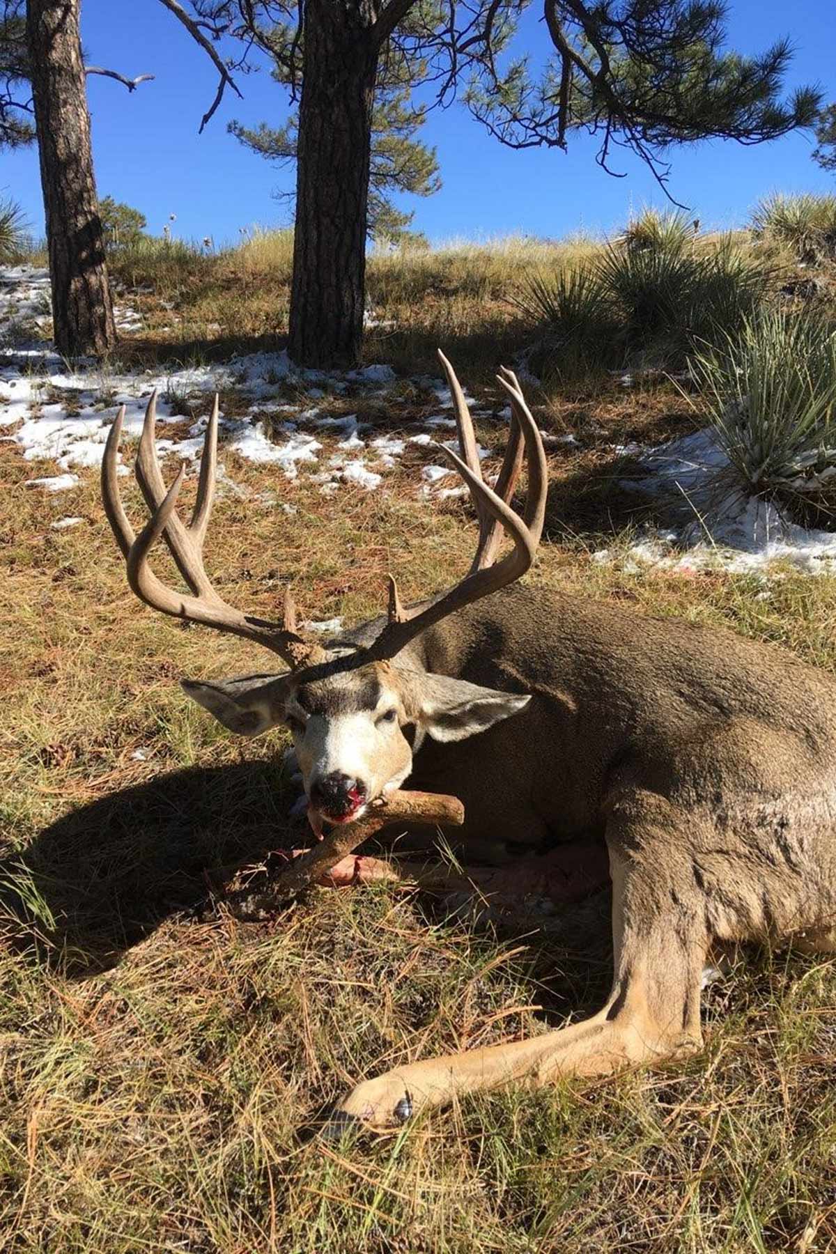 South Comanche Ranch property picture 203 of 220