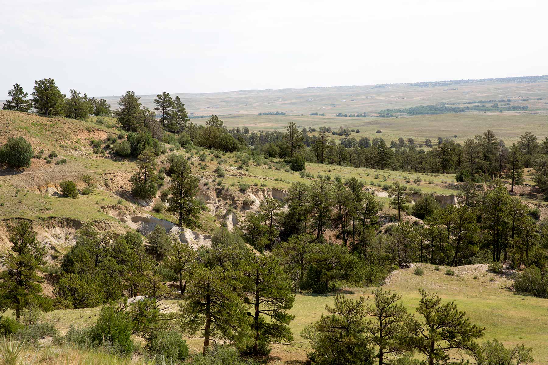 South Comanche Ranch property picture 186 of 220