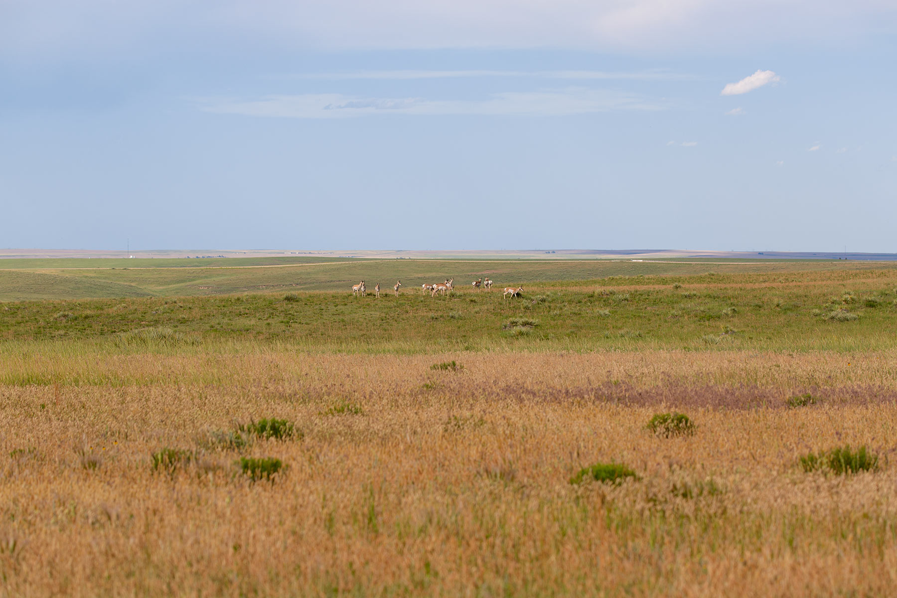 South Comanche Ranch property picture 50 of 220