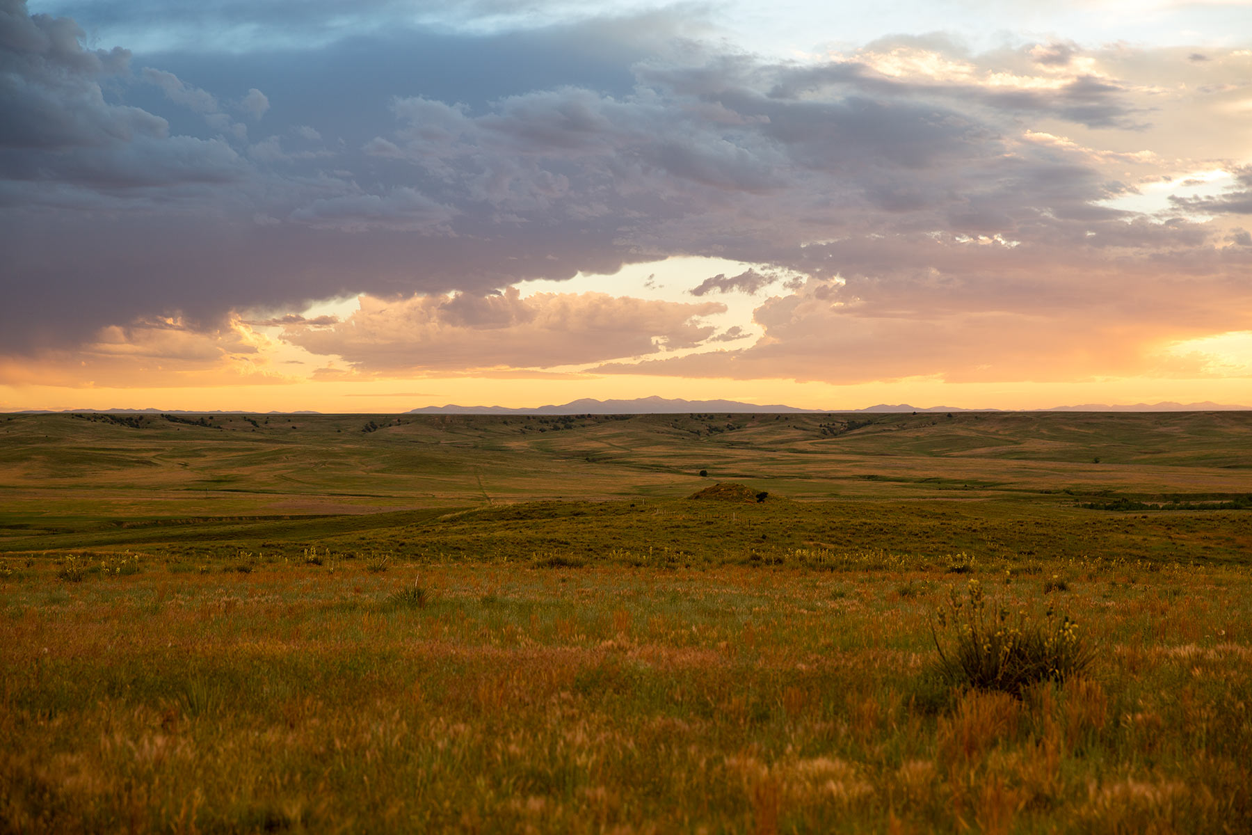 South Comanche Ranch property picture 117 of 220