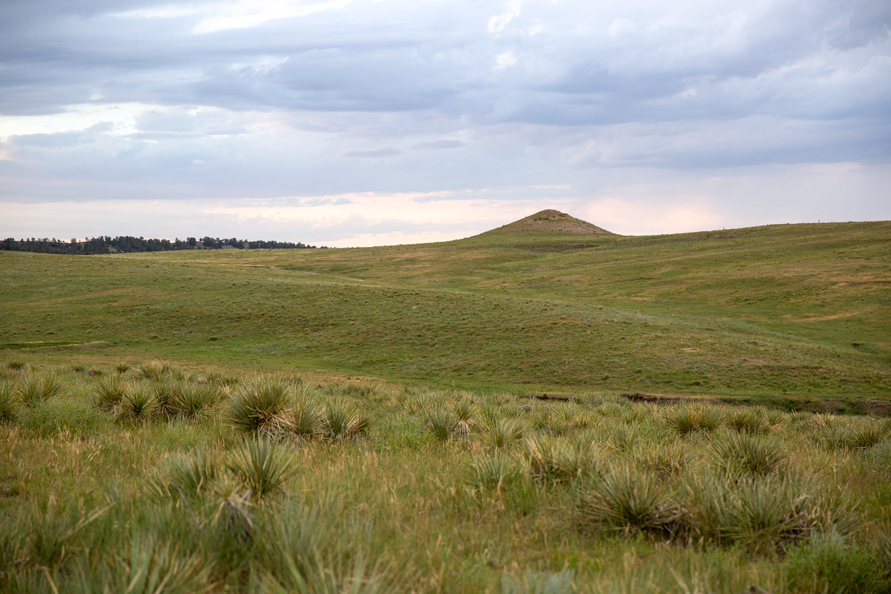 South Comanche Ranch property picture 116 of 220