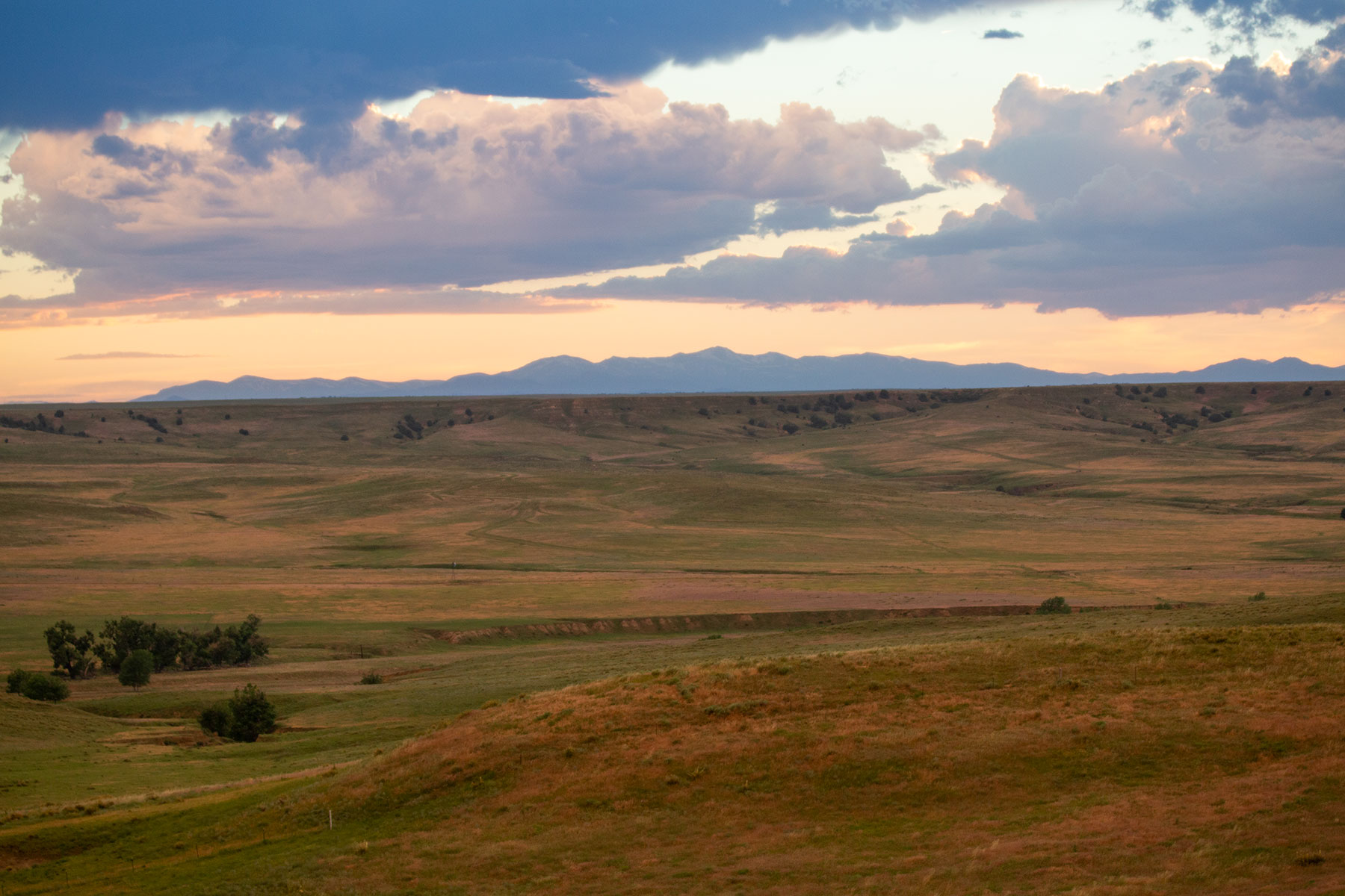 South Comanche Ranch property picture 14 of 220