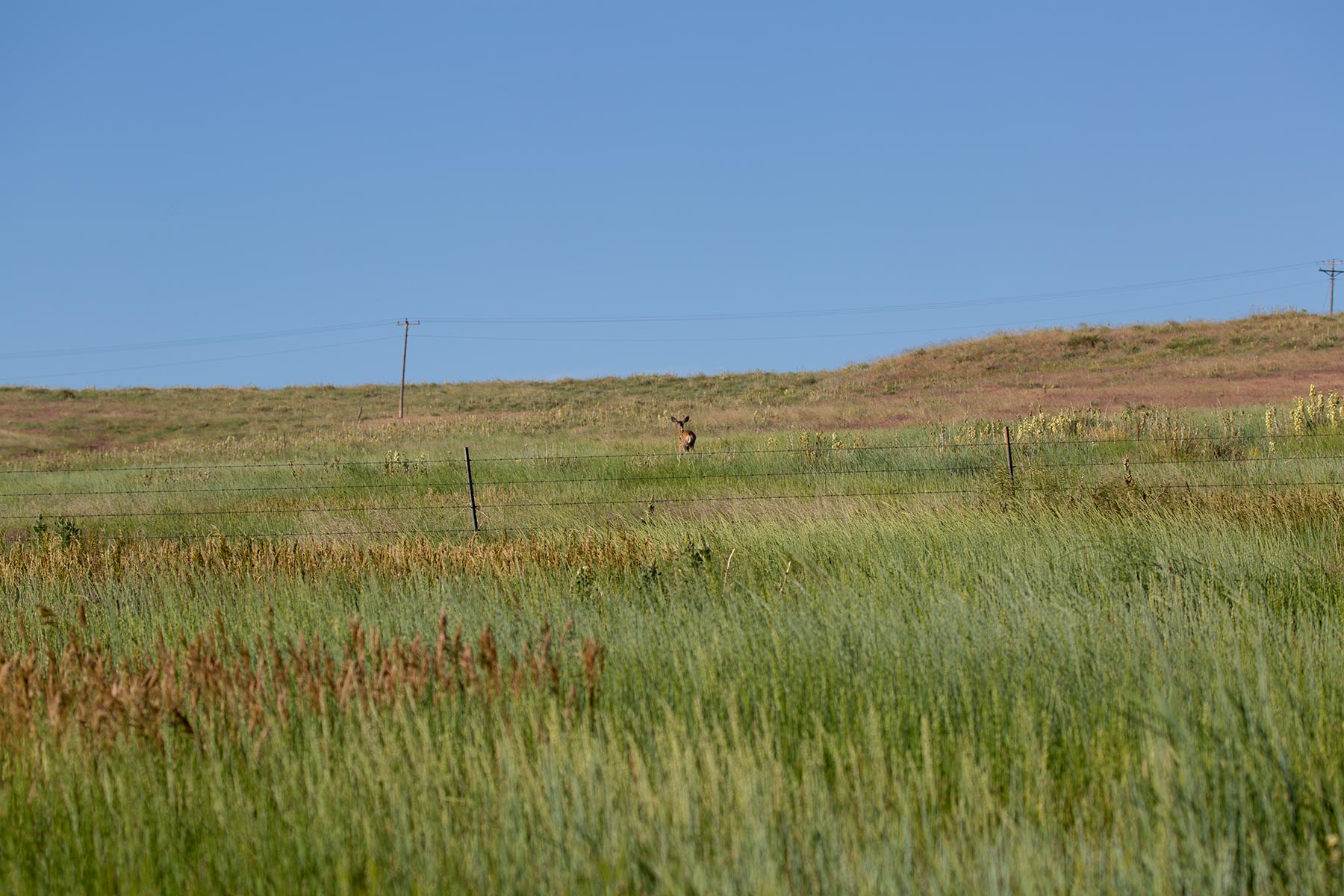 South Comanche Ranch property picture 73 of 220