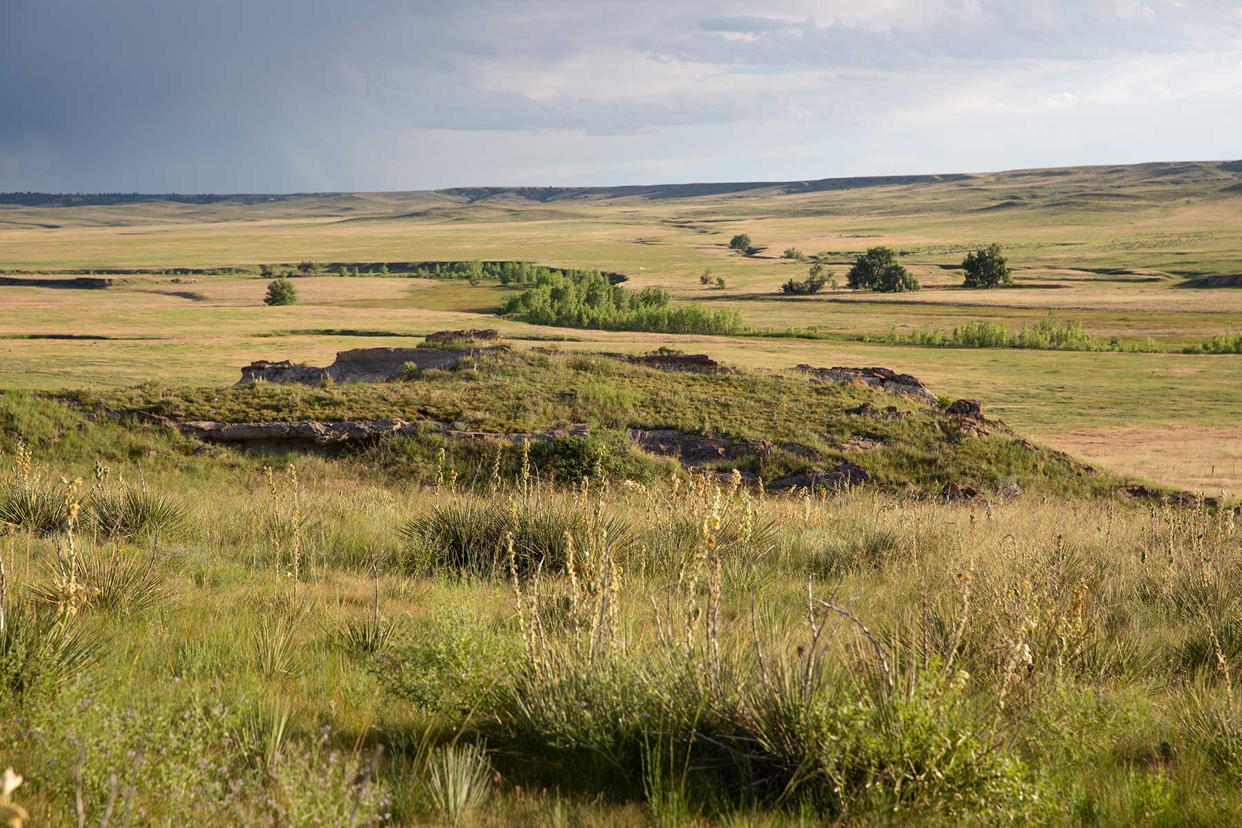 South Comanche Ranch property picture 11 of 220