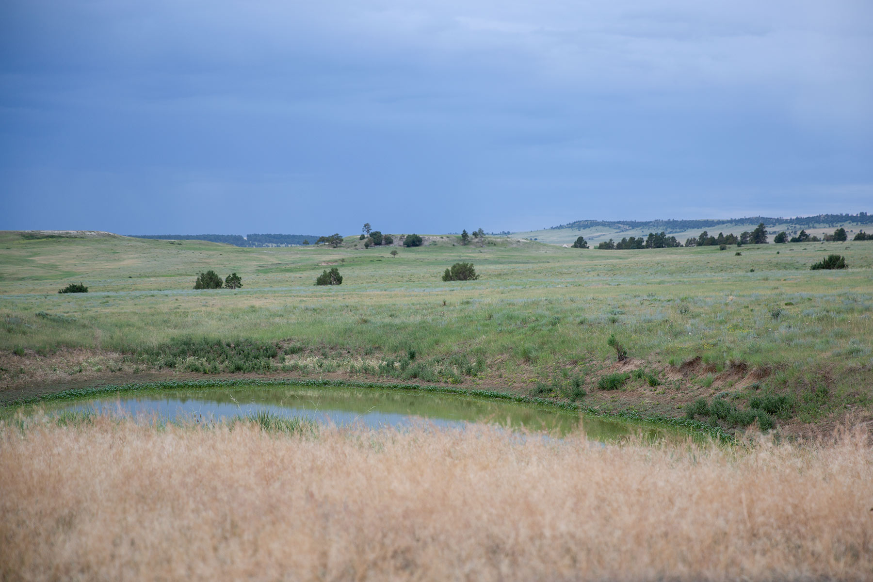 South Comanche Ranch property picture 120 of 220