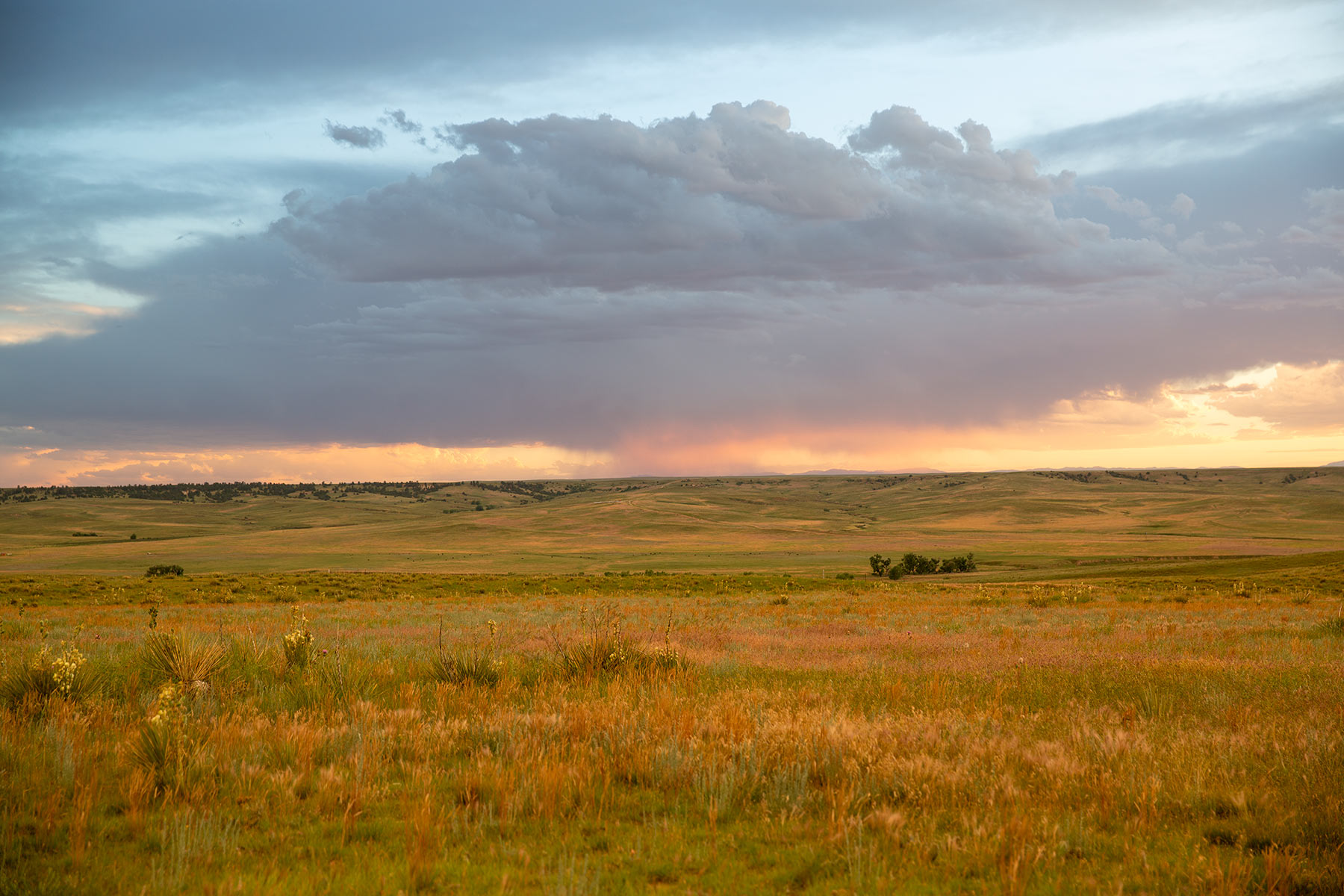 South Comanche Ranch property picture 190 of 220