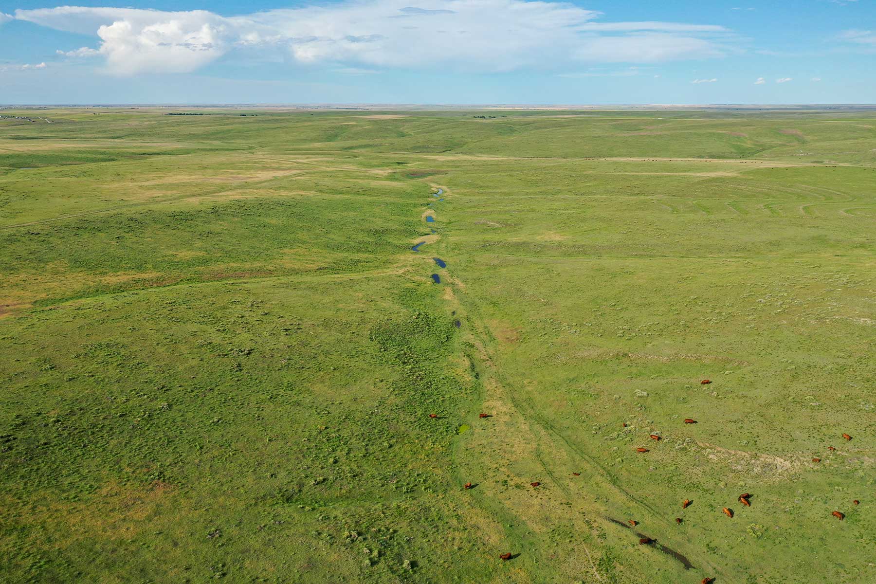 South Comanche Ranch property picture 18 of 220