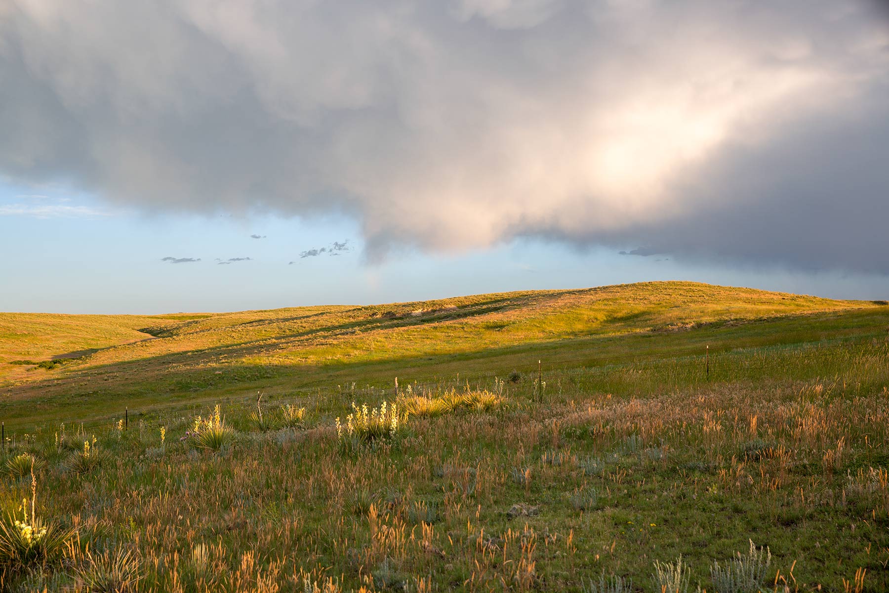 South Comanche Ranch property picture 104 of 220