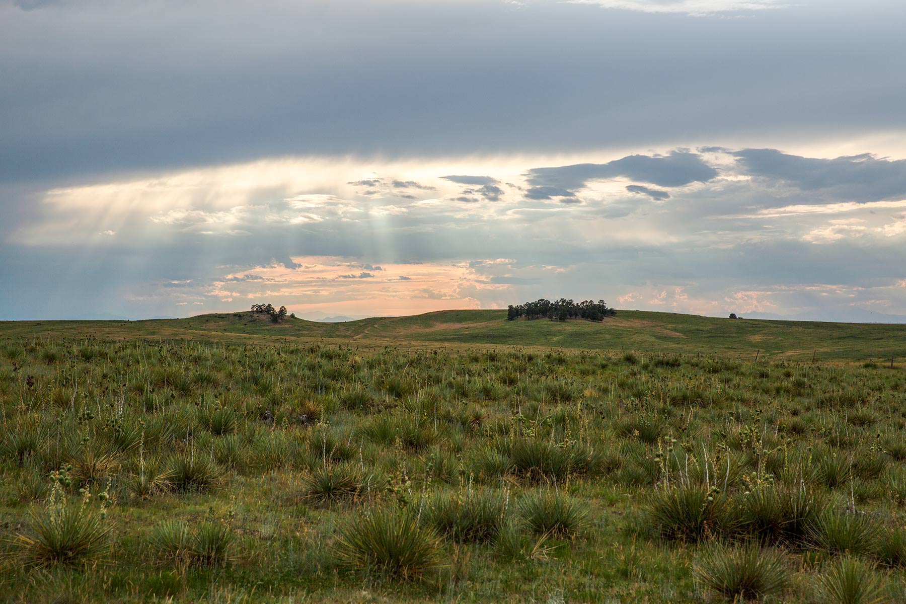 South Comanche Ranch property picture 210 of 220