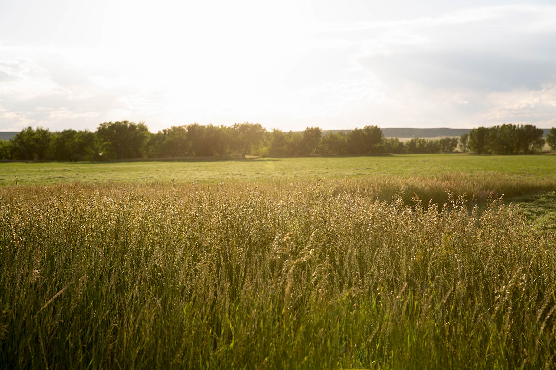 South Comanche Ranch property picture 95 of 220