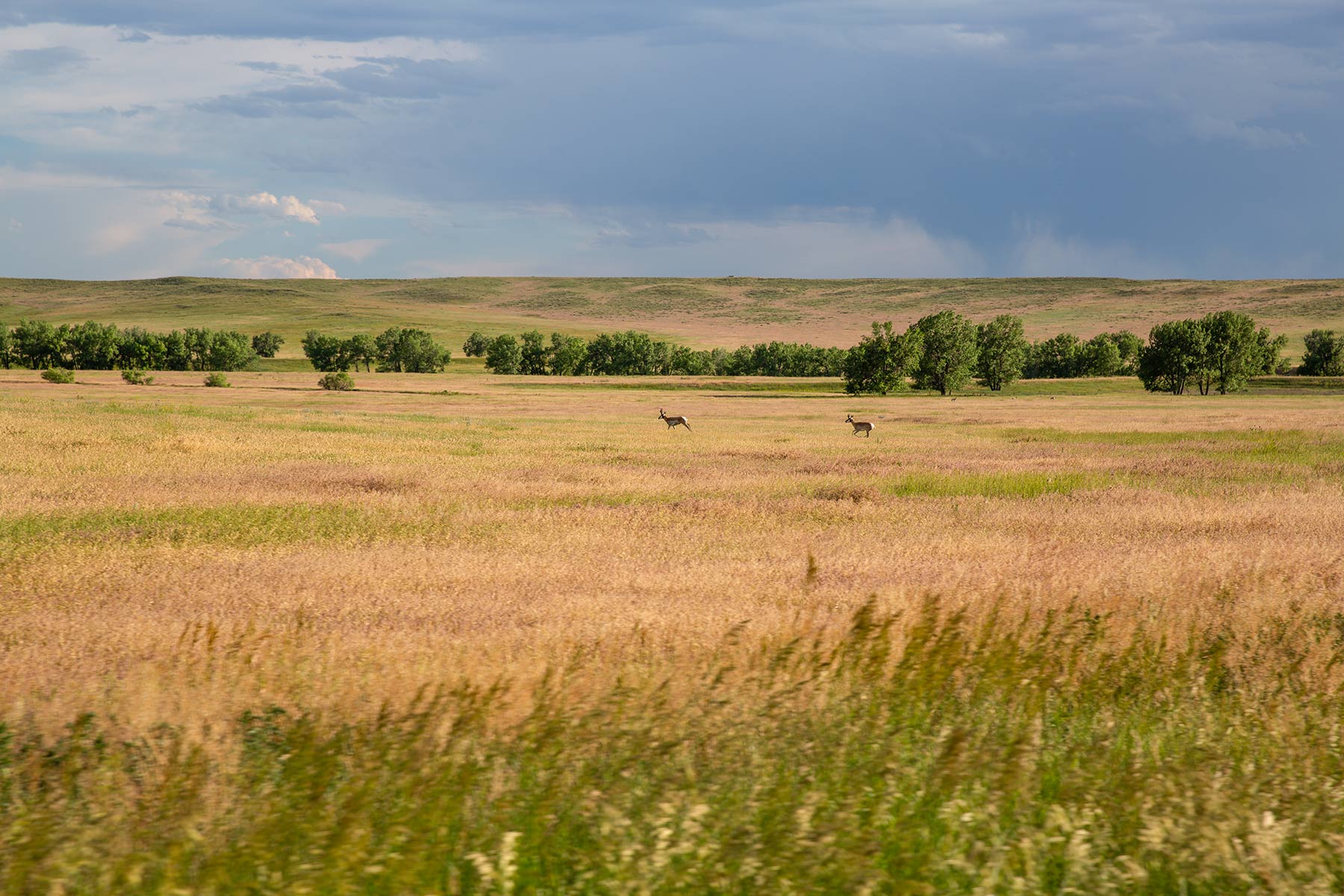 South Comanche Ranch property picture 66 of 220