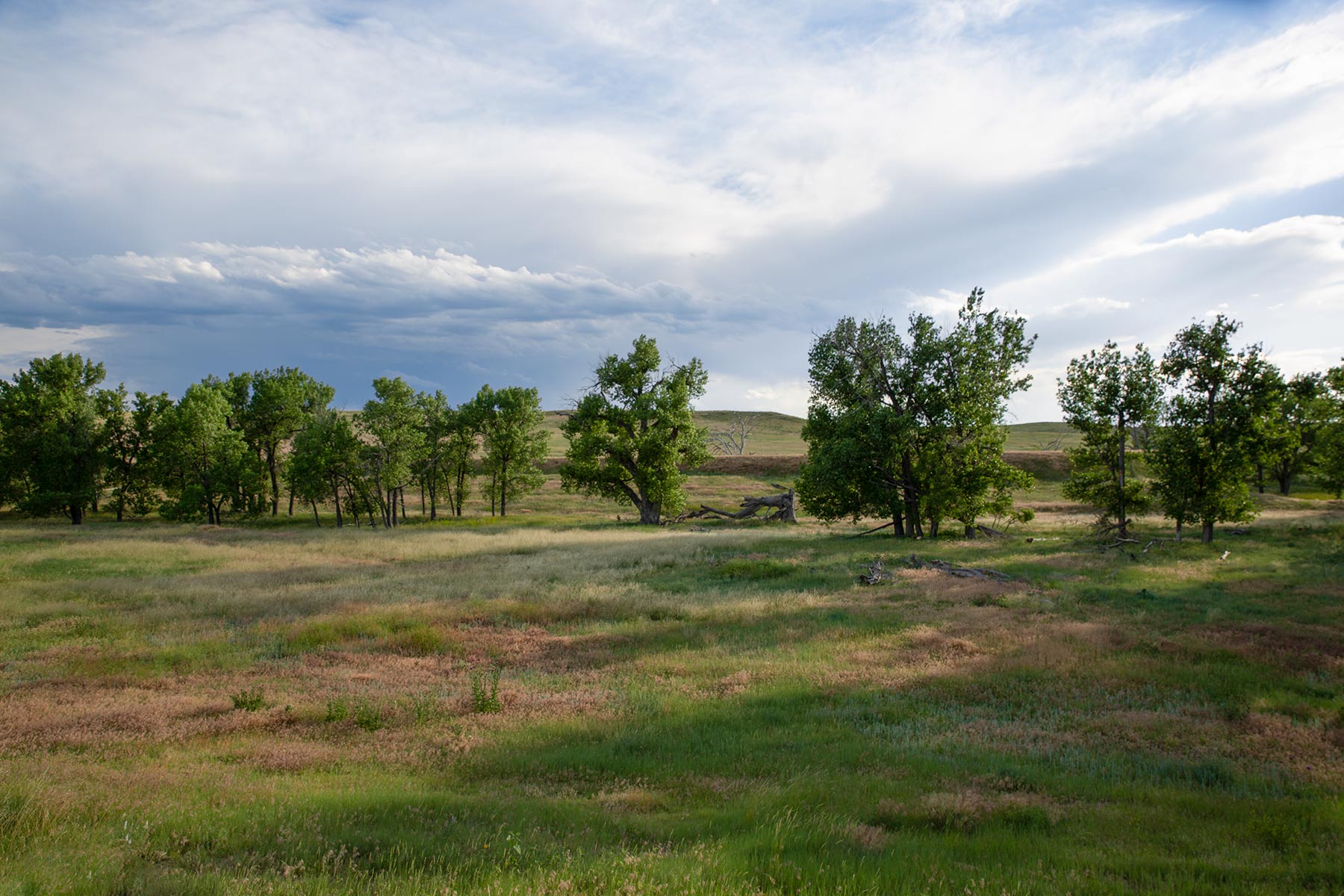 South Comanche Ranch property picture 71 of 220