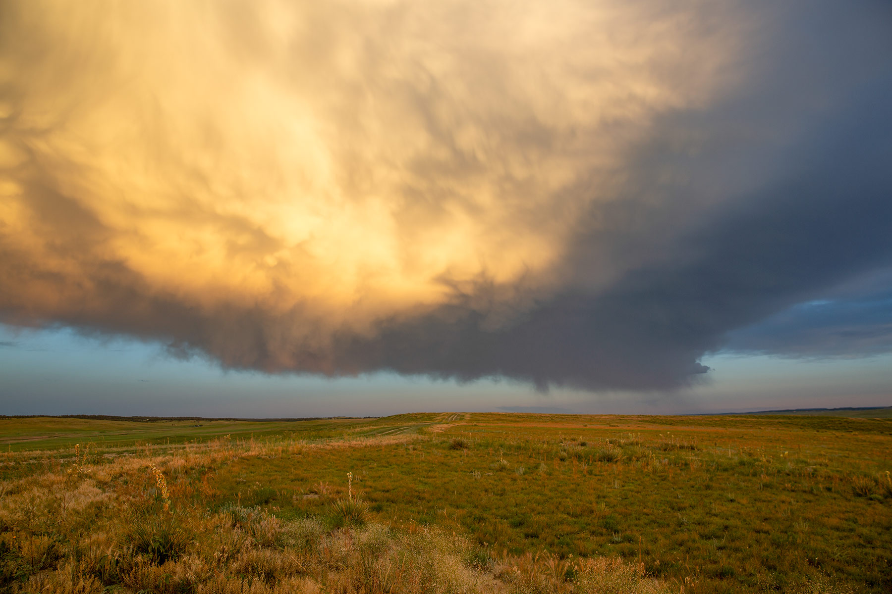 South Comanche Ranch property picture 114 of 220