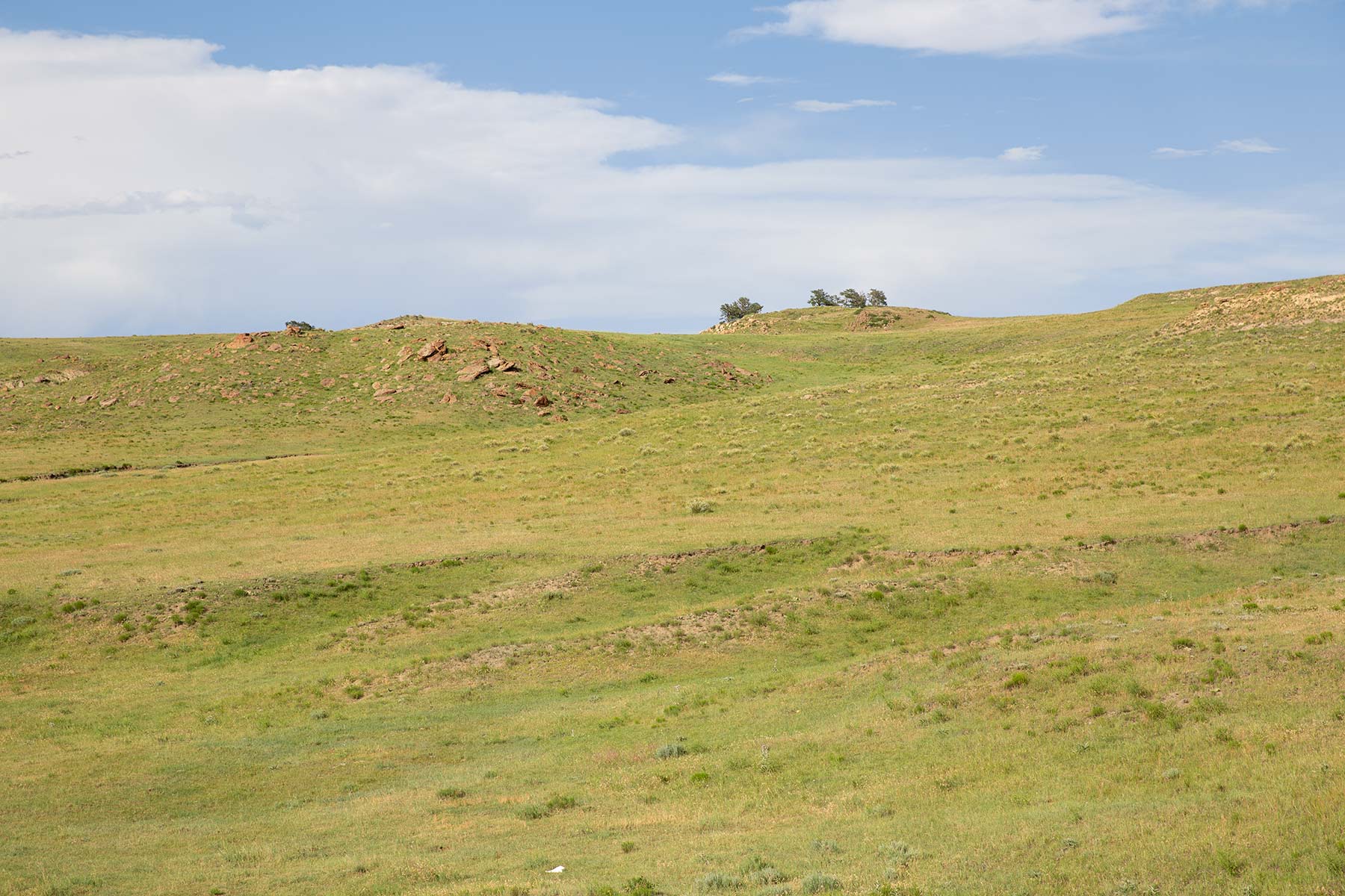 South Comanche Ranch property picture 33 of 220