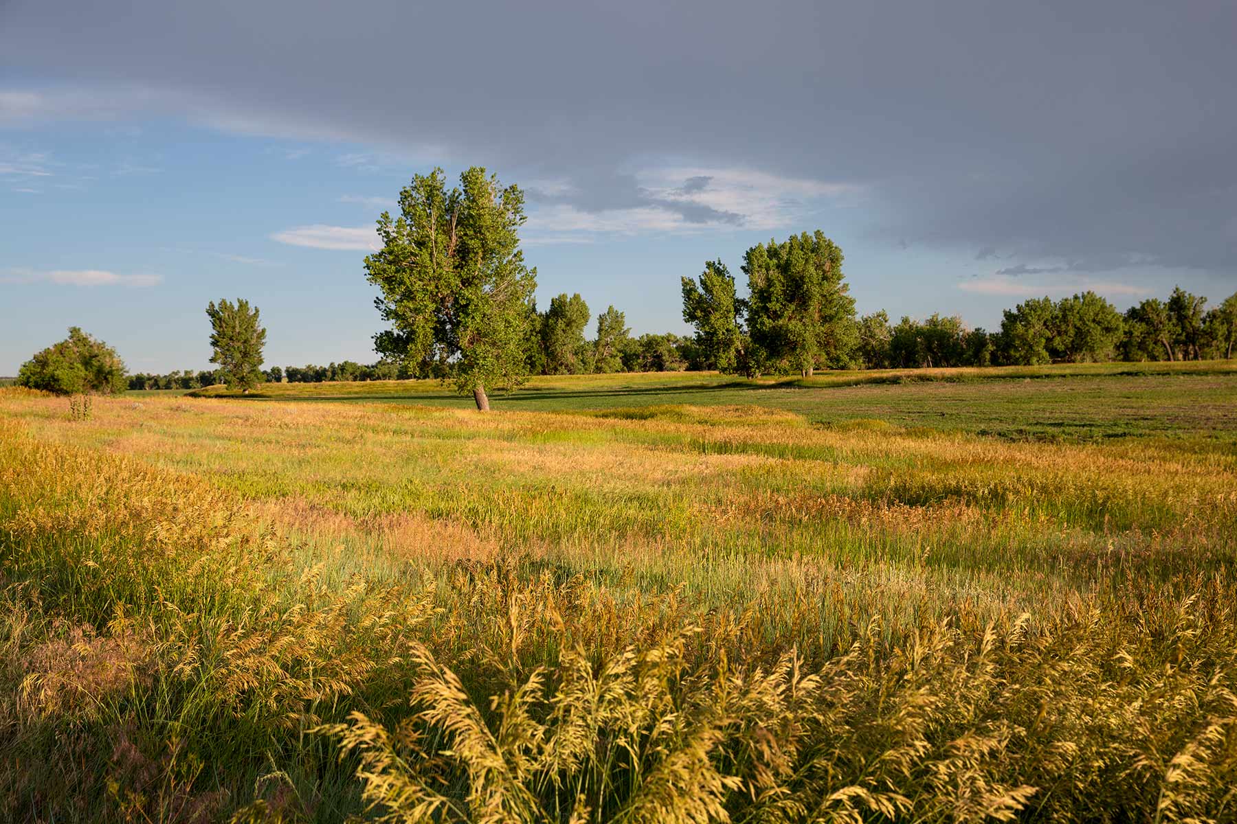 South Comanche Ranch property picture 94 of 220
