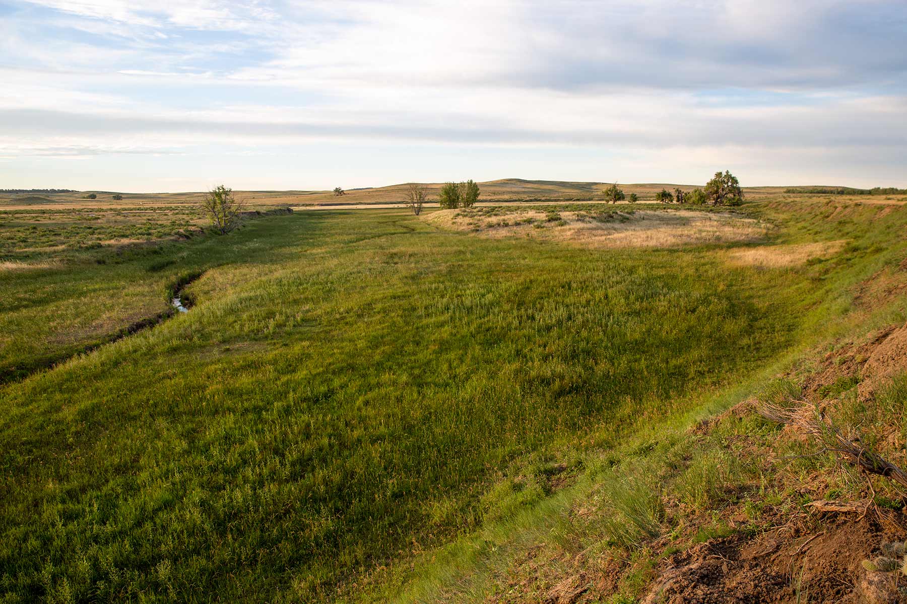 South Comanche Ranch property picture 140 of 220