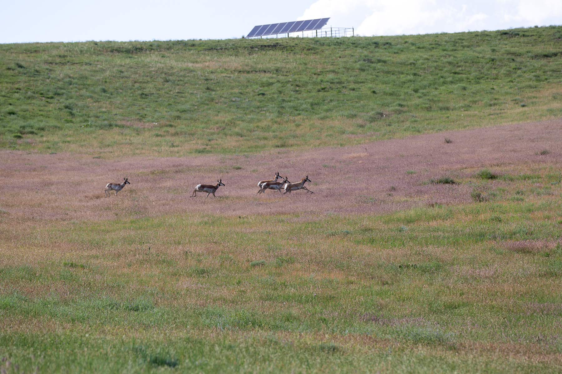 South Comanche Ranch property picture 38 of 220
