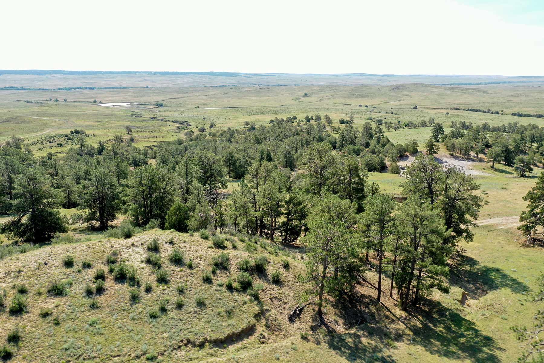 South Comanche Ranch property picture 207 of 220