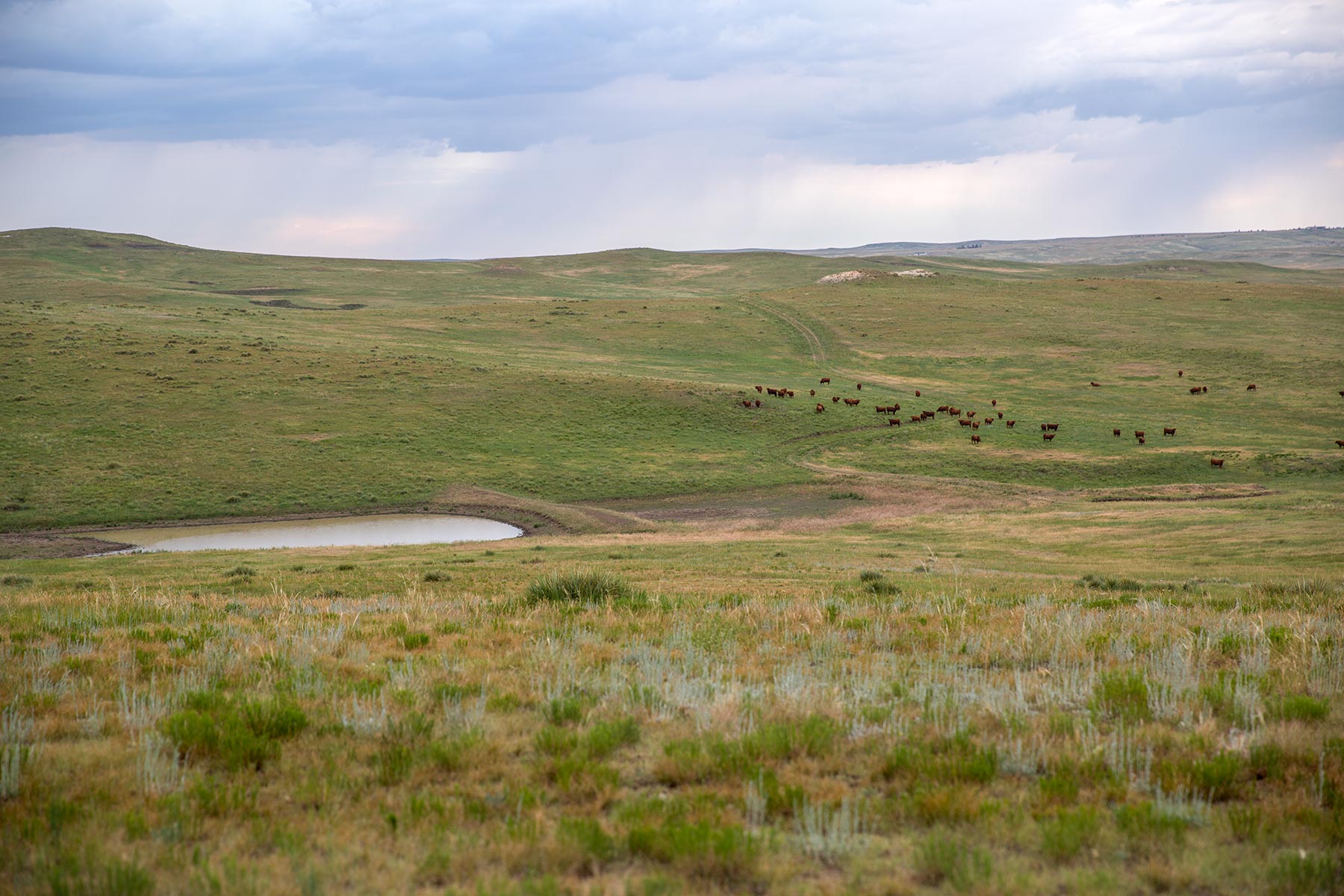 South Comanche Ranch property picture 118 of 220