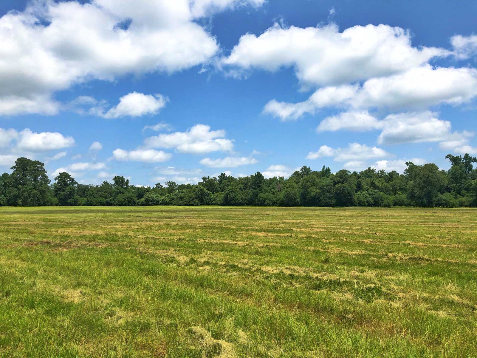 Spring Branch Ranch property picture 31 of 40